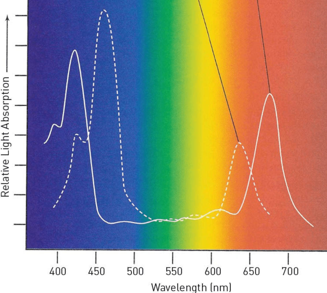 What do you measure in terms of light?